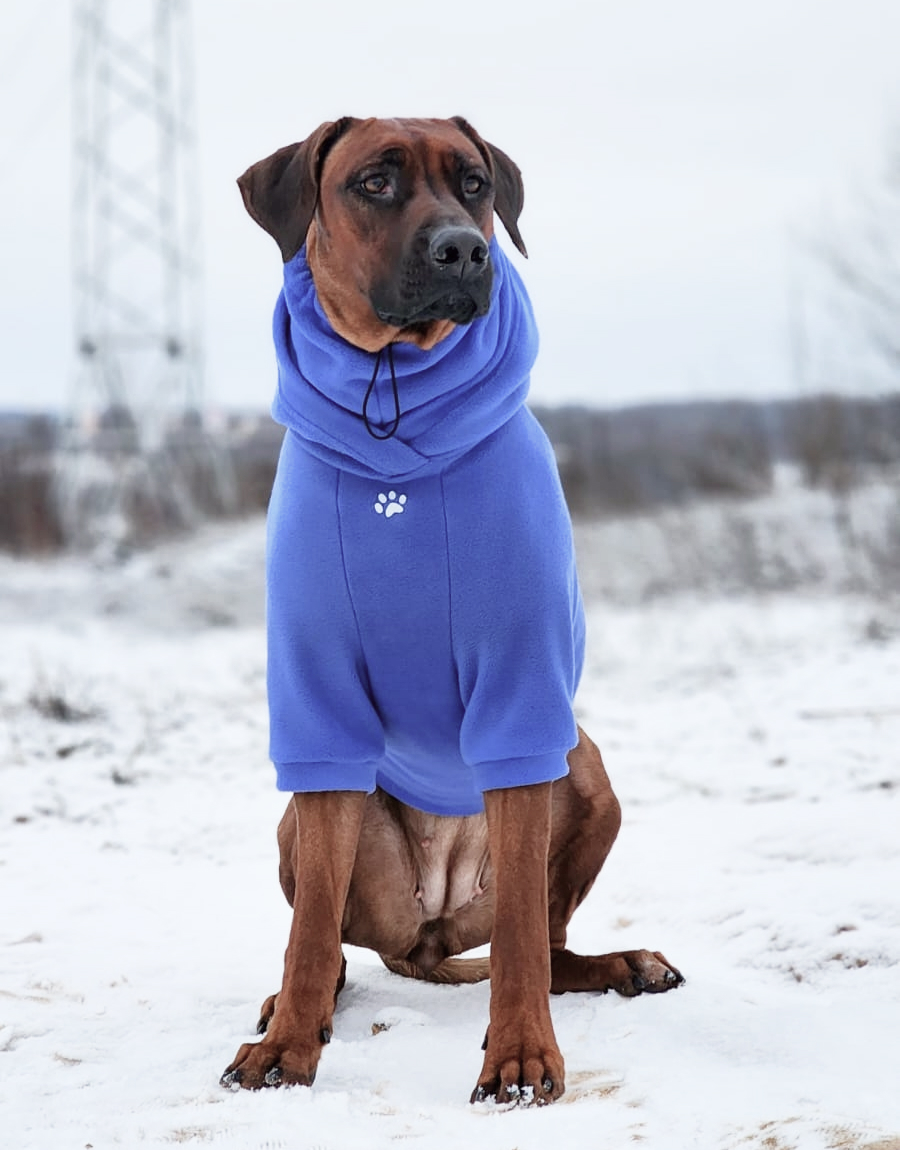Инна Березнякова